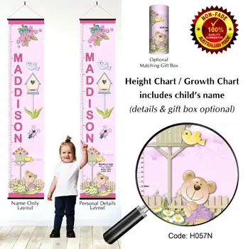 Height Charts - Teddy Bear